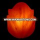 Himalayan Tulip Rose Salt Lamps