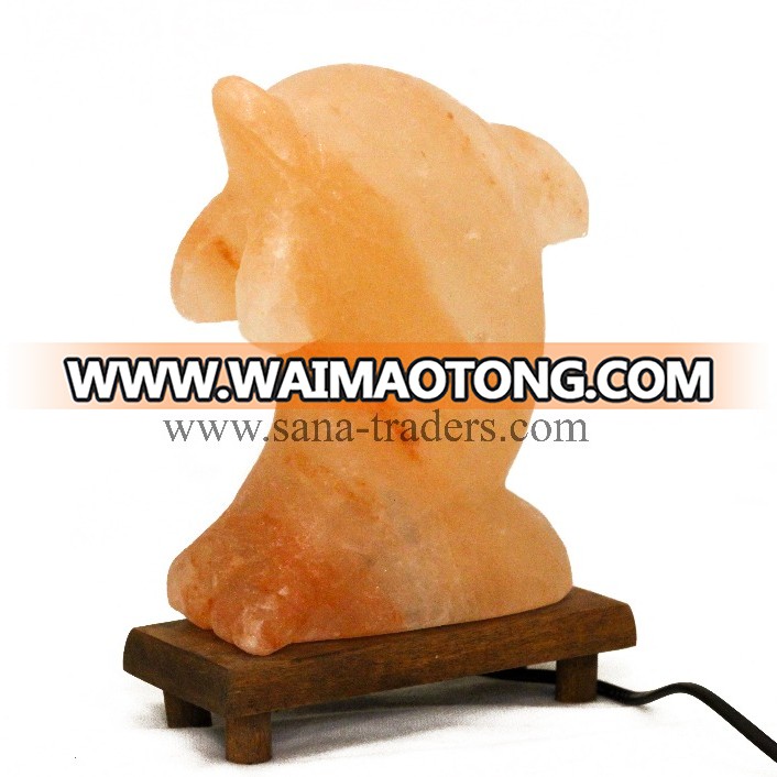 Dolphin Salt Lamp / Fancy Salt Lamp / Himalayan Salt Lamps / LED Salt Lamp / Himalayan Rock Salt Lamps / USB Lamps / Salt Lamps